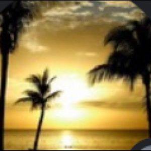 Meet your Posher, Logan